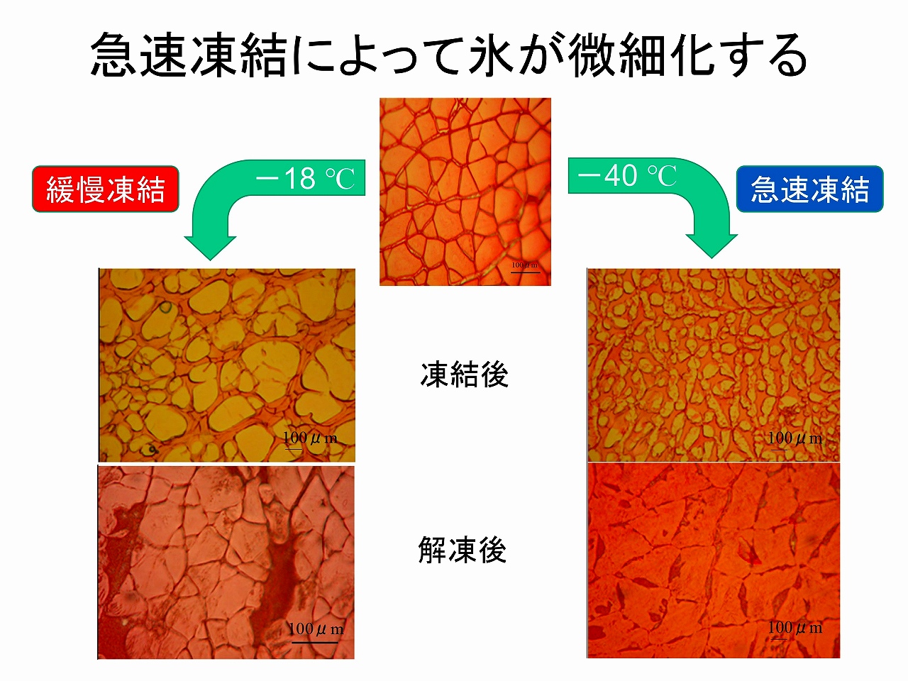 凍結スピードが速い場合と遅い場合の違い②。