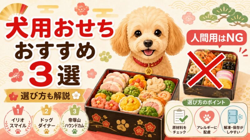 犬用おせちおすすめ3選！人間用がNGな理由と選び方を解説 