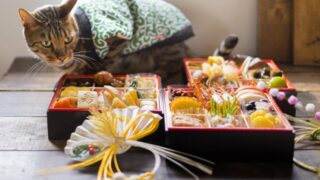 地域で違う!?【ご当地おせち24選】日本各地の特色ある正月料理を紹介！ 